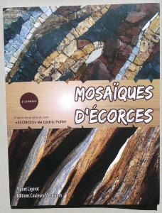 Livre  mosaïques d'écorcres interprétés en mosaïque Muriel ligerot avec CD