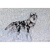 Chien en mosaïque image modèle de Made in mosaic